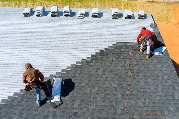 Best Local Roofing Companies  in Terry, MS