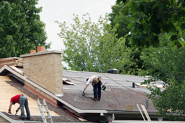 Professional Roofing Contractor in Terry, MS