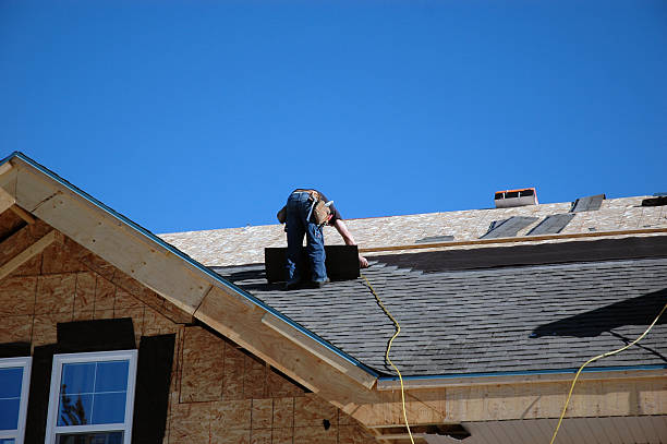 Best Roofing Contractors for Homes  in Terry, MS