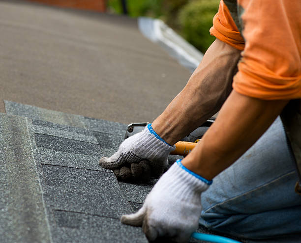 Best New Roof Installation  in Terry, MS
