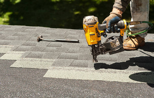 Best Roof Repair Services  in Terry, MS