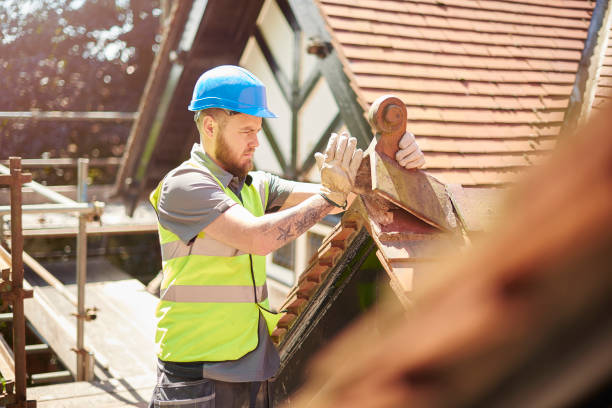 Best Roof Replacement Cost  in Terry, MS