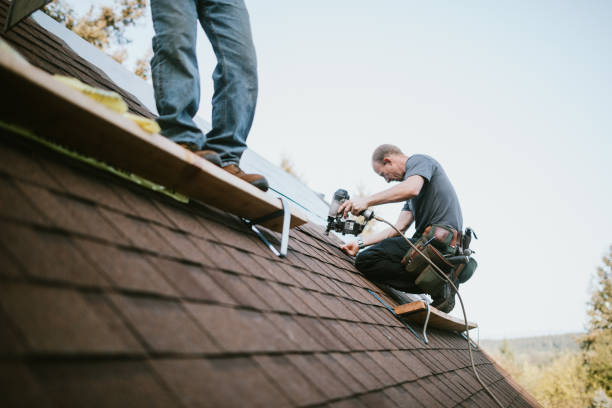 Best Commercial Roof Installation  in Terry, MS