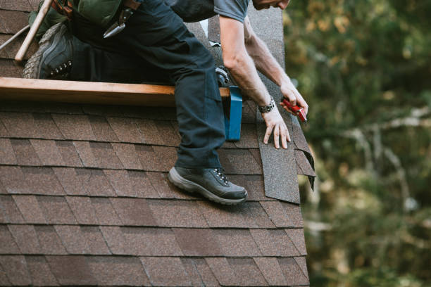 Best Roof Leak Repair  in Terry, MS