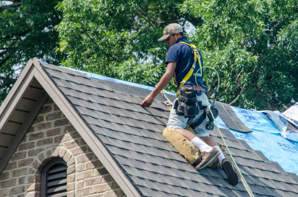 Best Roof Inspection Near Me  in Terry, MS