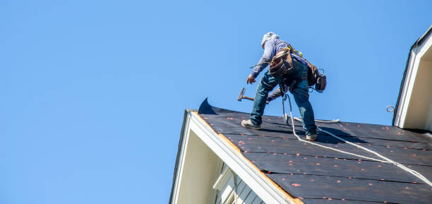 Best Roof Waterproofing Services  in Terry, MS